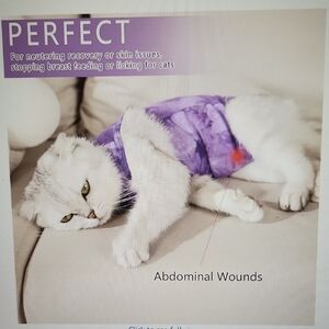 Pet Recovery Suit Spay surgery, abdominal wounds etc Better than wearing a cone